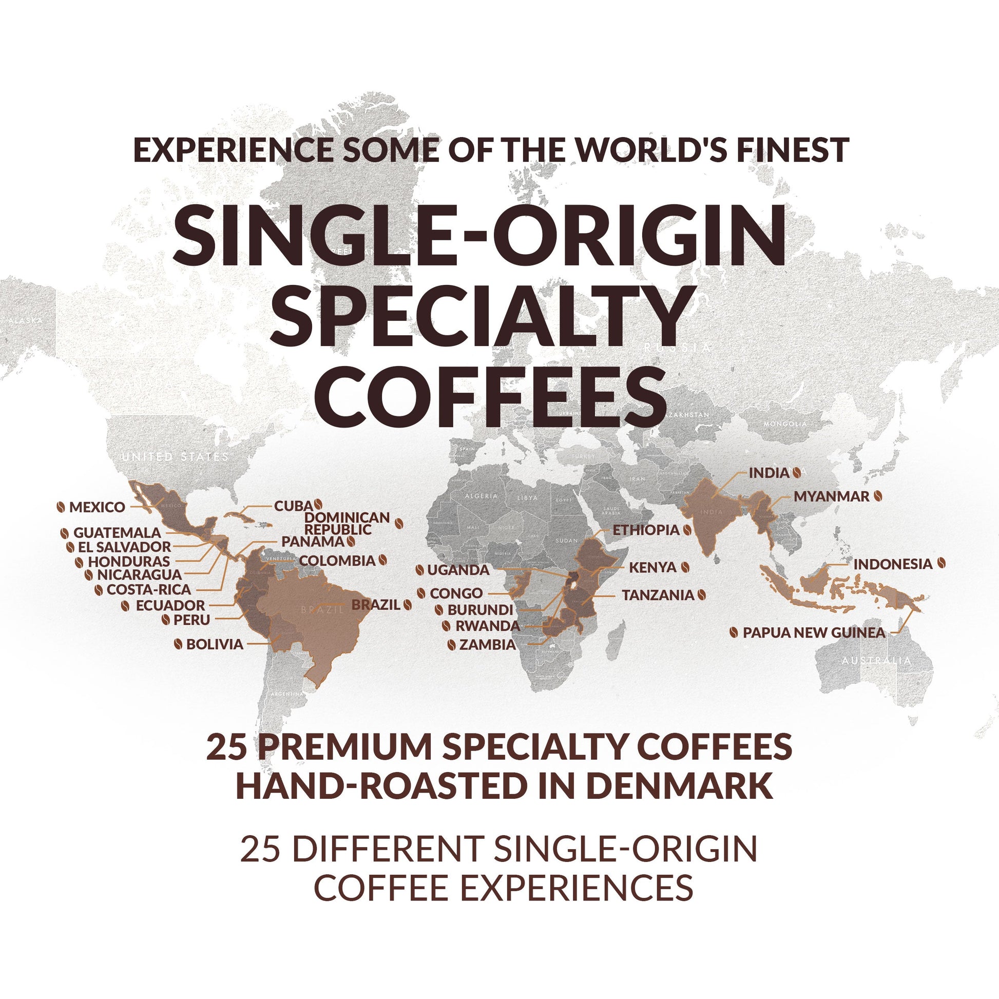 SPECIALTY COFFEE BEANS TASTER BOX 25 PCS-3