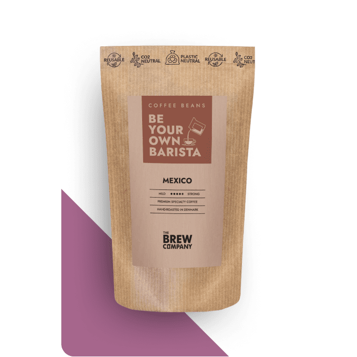 MEXICO SPECIALTY COFFEE BEANS-2